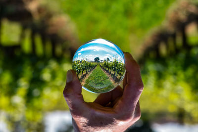 Close-up of human hand holding ball