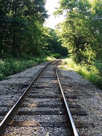 Railroad tracks amidst trees against sky