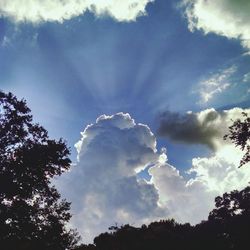 Low angle view of trees against cloudy sky