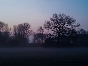 Bare trees on field at sunset