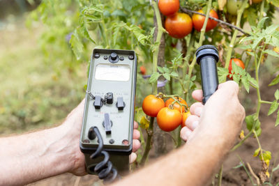 Measurement the natural radioactivity concentration levels in vegetables
