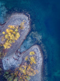 High angle view of sea shore against blue sky