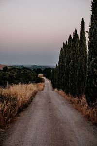 Empty road amidst trees against sky