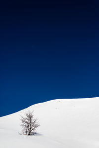 Scenic view of snow covered landscape