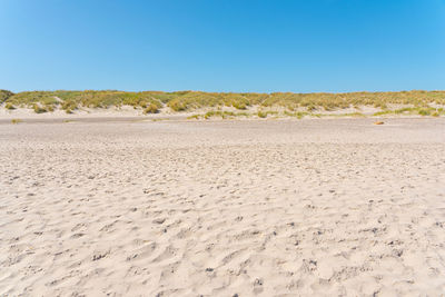 Scenic view of beach against clear blue sky