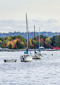 Brilliant autumn colors and boats at gene coulon park in renton, washington.