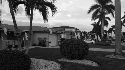 Palm trees against cloudy sky