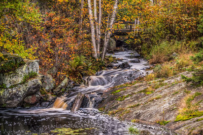 Stream flowing through rocks in forest during autumn