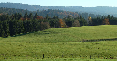 Scenic view of green landscape against sky