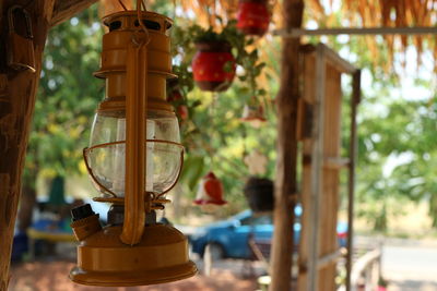 Close-up of lantern hanging on tree