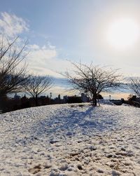 Bare trees on snow covered landscape