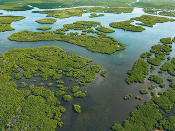 High angle view of beach