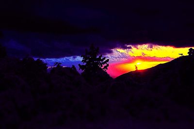 Silhouette trees against dramatic sky at night