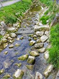 High angle view of stones on wet footpath