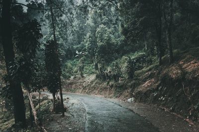 Road amidst trees against sky