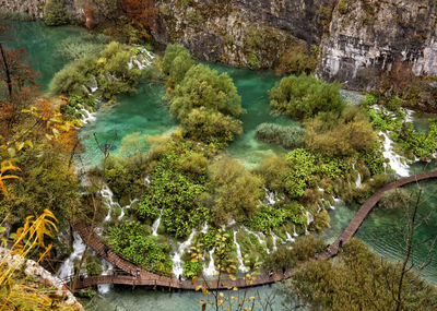 High angle view of lake along trees