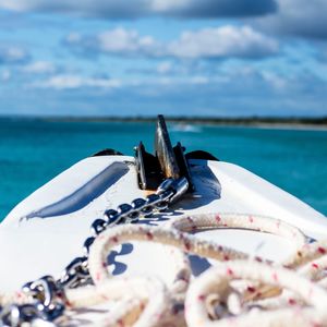 Close-up of fish on beach against sky