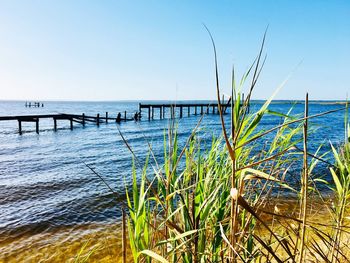 Scenic view of sea against clear blue sky