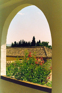 Building with trees in background