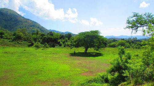 Scenic view of landscape against cloudy sky