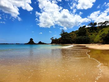 Scenic view of beach against sky