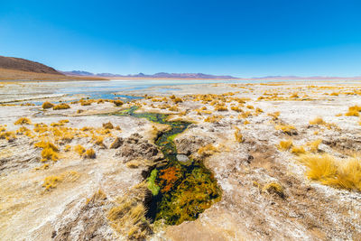 Scenic view of landscape against clear sky