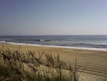 Scenic view of beach against clear sky