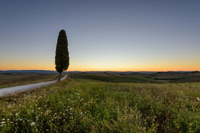 Scenic view of landscape against clear sky