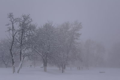 Bare trees on snow covered field against sky