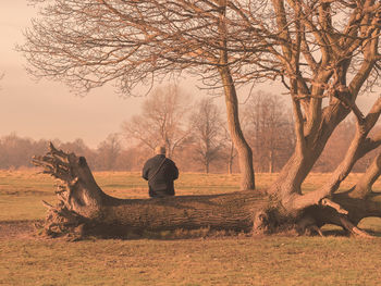 Man sitting on fallen tree against sky