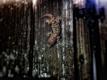 Close-up of wooden wall