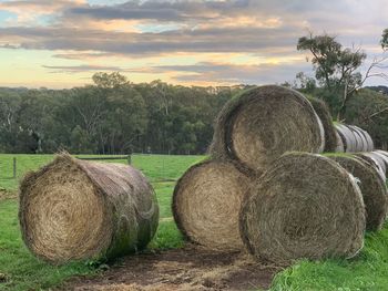 Hay bales on field against sky