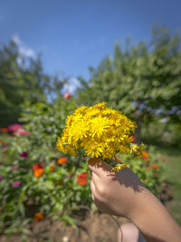 Cropped image of girl holding yellow flowers