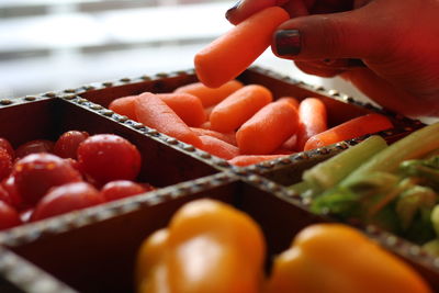 Cropped image of woman holding container with various vegetables