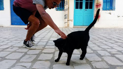 Man touching cat on street