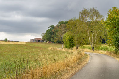 Road amidst trees against sky