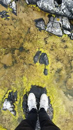 Low section of man standing in puddle