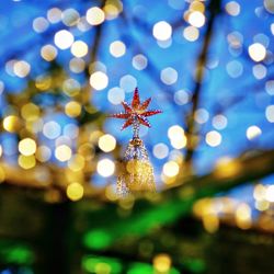 Close-up of illuminated christmas tree at night