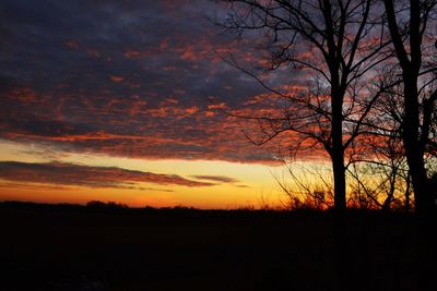 Silhouette of trees against cloudy sky