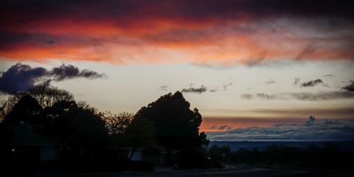 Silhouette trees against sky during sunset