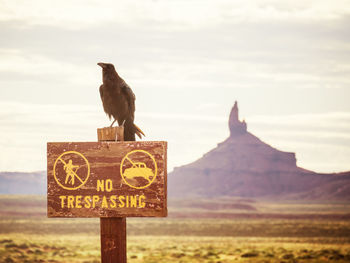 View of bird perching on sign against sky