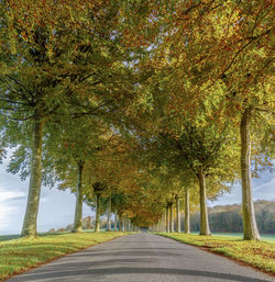 Road amidst trees during autumn