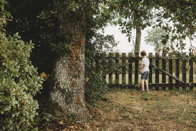 Rear view of boy at garden gate