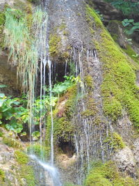 Scenic view of waterfall