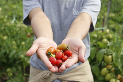 Midsection of man holding fruit