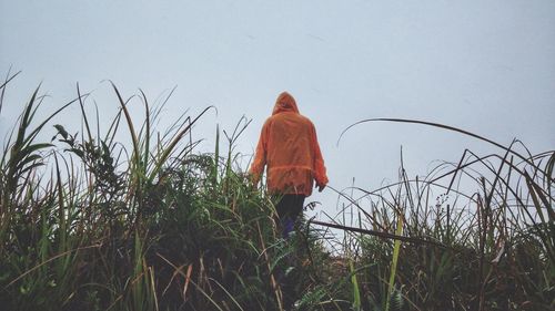 Rear view of person with raincoat on field