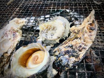 High angle view of seafood on barbecue grill