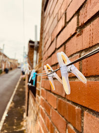 Clothes pegs on a washing line