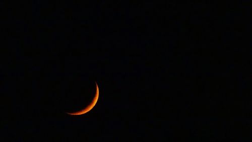 Low angle view of trees at night