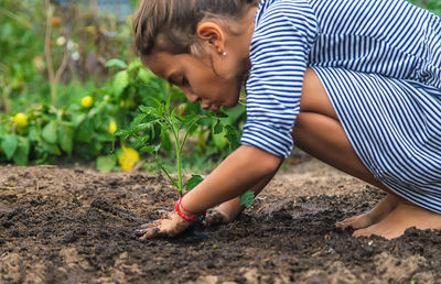 Cute girl planting seedling